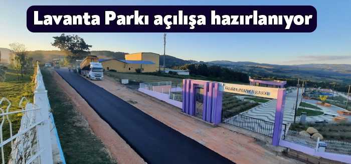 5 Ağustos Cuma günü açılışı yapılacak olan İzmit Lavanta Parkı
