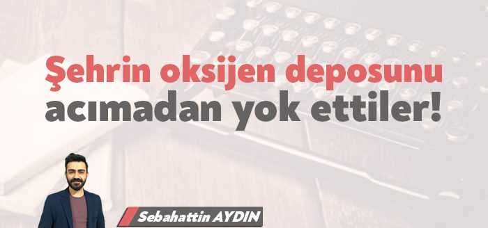 Şehrin merkezine en yakın orman arazileri katlediliyor. En güncel örneğini