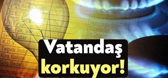 Önümüzdeki 6 ay elektrik ve doğalgaz faturasını ödemekte zorlanacağını düşünen