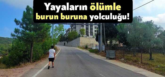 Kocaeli'nin Derince ilçesi Taşköprü Yolu sokakta oturan vatandaşlar adeta ölümle