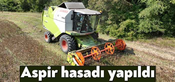 Zeki Aygün’ün tarımsal kalkınma hamlesi kapsamında başlattığı aspir yetiştiriciliği projesinde