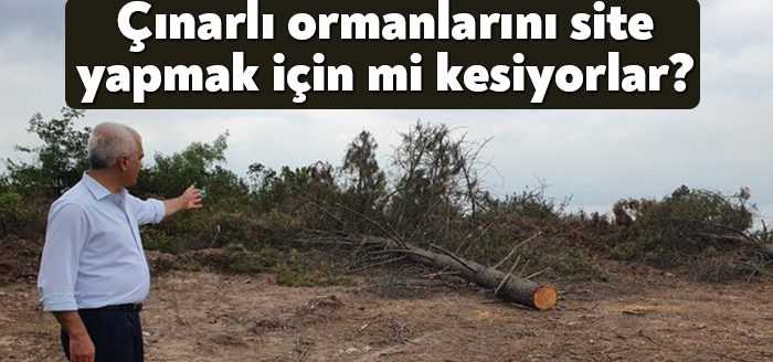 Hakların Demokratik Partisi (HDP) Kocaeli Milletvekili Dr. Ömer Faruk Gergerlioğlu, 