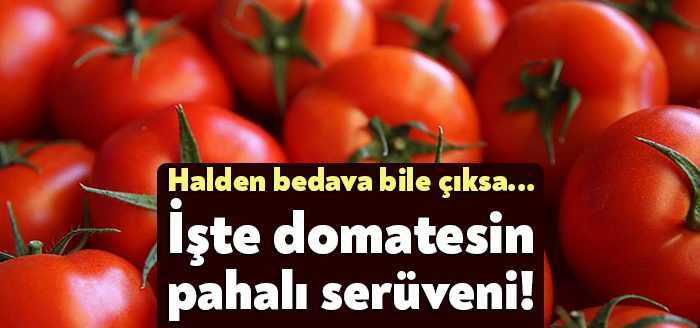 Nakliye ve diğer giderlerle meyve sebzede maliyet katlanıyor. Antalya’da tarladan
