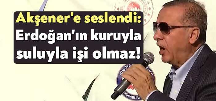 Cumhurbaşkanı Recep Tayyip Erdoğan, İYİ Parti Genel Başkanı Meral Akşener'e