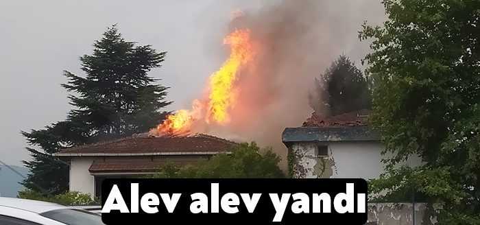 Kocaeli’nin Kartepe ilçesinde kullanılmayan bir ilaç fabrikasında yangın çıktı. Alevlere