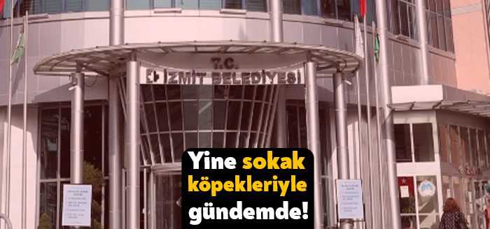 İzmit Belediyesi yine sokak köpeklerinin uyuşturucu iğnelerle vurulmasıyla gündeme geldi.