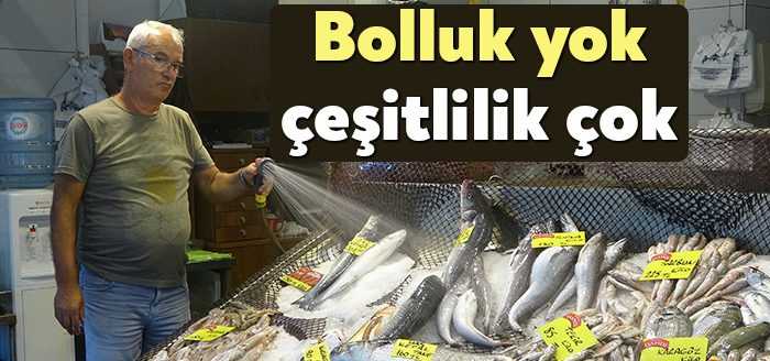 Kocaeli'de tezgahlarda balık bolluğu henüz görülmese de balık türlerinin çeşitliliği