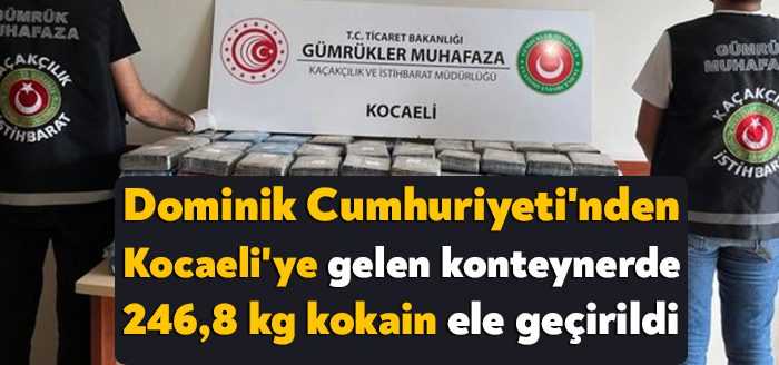 Türkiye-Bulgaristan sınırındaki Kapıkule Gümrük Kapısı’nda 226,9 kg esrar, Dominik Cumhuriyeti'nden