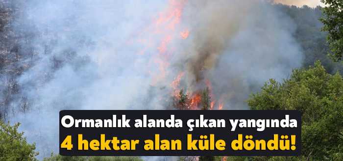Kocaeli’nin Gebze ilçesinde ormanlık alanda çıkan yangın ekiplerin yoğun çalışmalarının