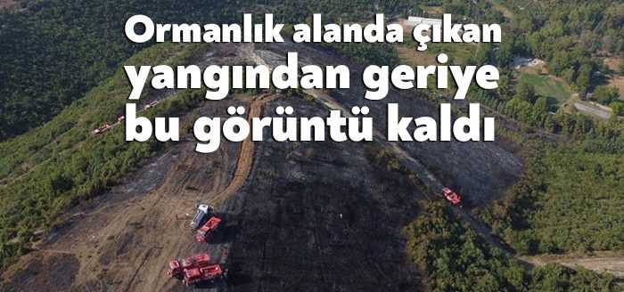 Kocaeli'nin Gebze ilçesinde ormanlık alanda çıkan yangın, ekiplerin yaklaşık 2