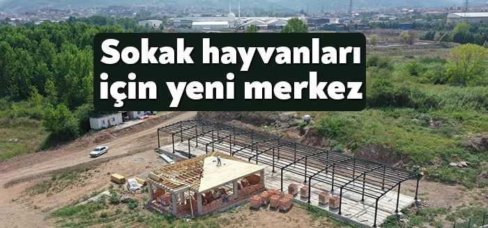 Başiskele Belediyesi, yapımı devam eden Sokak Hayvanları Geçici Rehabilitasyon Merkezi