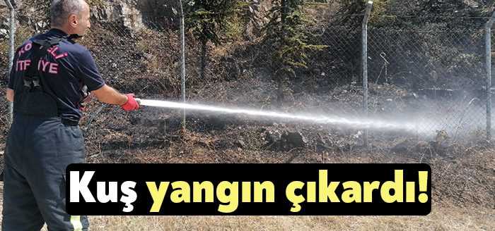 Kocaeli’nin Gebze ilçesinde bir güvercinin elektrik akımına kapılmasıyla çıkan kıvılcım,