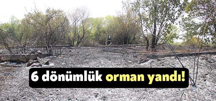 Kocaeli’nin Başiskele ilçesinde ağaçlık alanda çıkan yangın itfaiye ekipleri tarafından