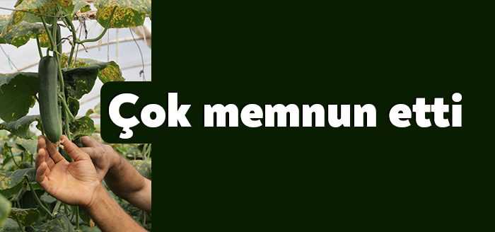 Büyükşehir Belediyesi’nin, çiftçilere sağladığı yüzde 50 hibe destekli modern seralarda