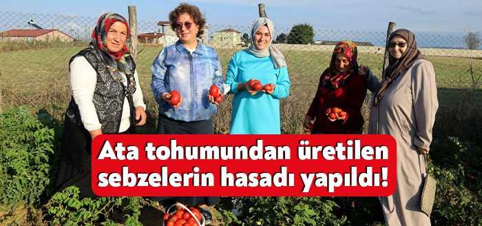 Büyükşehir, unutulmaya yüz tutmuş birçok ata tohumunu tarıma kazandırarak, gelecek