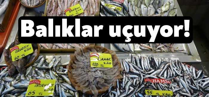 Kocaeli'de av sezonunun başlamasıyla birlikte hem tezgahlarda balık çeşitliliği arttı,