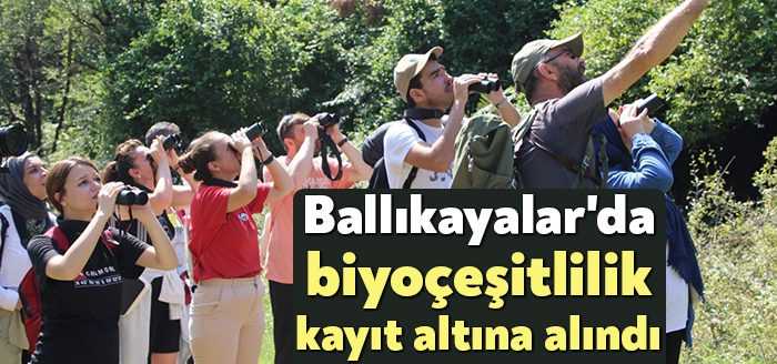 Kocaeli Büyükşehir Belediyesi'nin "Doğa Kocaeli" etkinliklerinden TÜR SAY, Gebze Ballıkayalar’da
