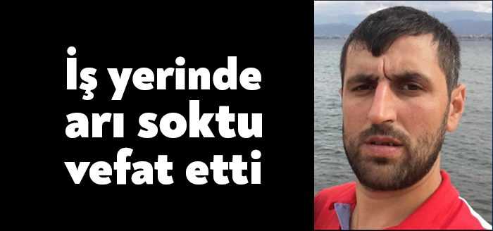 Kocaeli’nde çalıştığı iş yerinde arı sokması sonrasında fenalaşan işçi Yekta