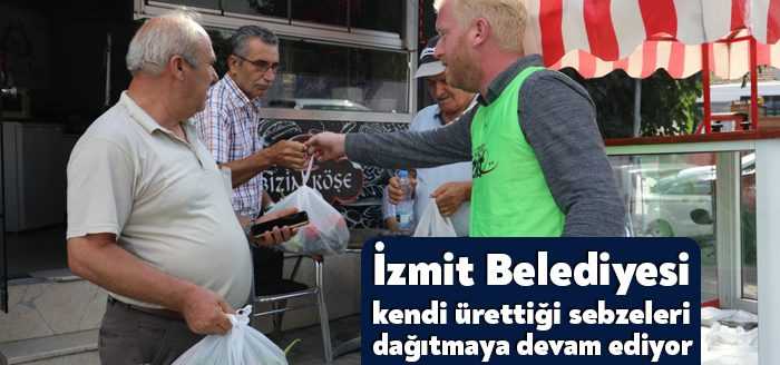 İzmit Belediyesi Kırsal Hizmetler Müdürlüğü Tarımsal Üretim Bahçesi’nde üretilen sebzeler,
