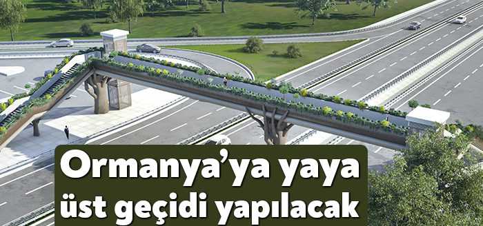 Kocaeli Büyükşehir tarafından Kartepe’de bulunan doğal yaşam parkı Ormanya’ya yayaların