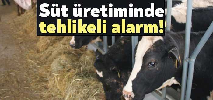 Çiğ sütteki son fiyat kararı üreticide büyük hayal kırıklığı yarattı.
