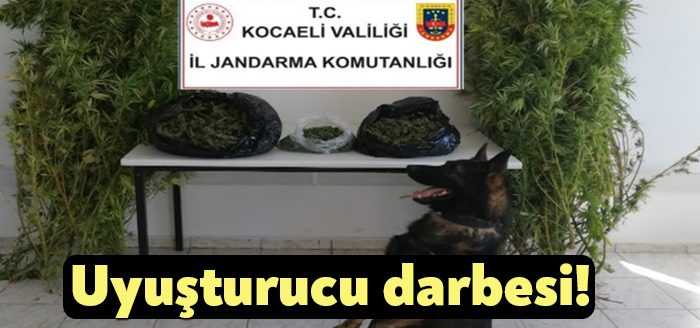 Kocaeli İl Jandarma Komutanlığınca yapılan çalışmalar kapsamında uyuşturucu tacirlerine darbe
