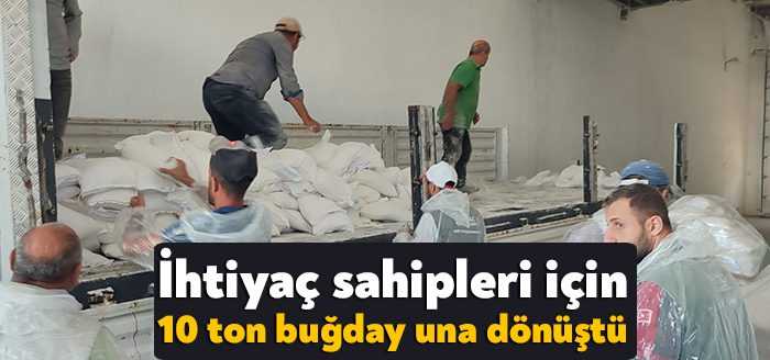 Gölcük Belediyesi tarafından 38 dönümlük alana ekilerek hasat edilen buğdaylar,