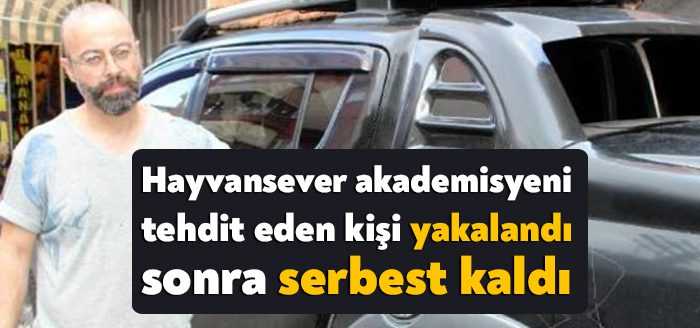 Kocaeli'de sokak hayvanlarını besleyen öğretim görevlisi Kadir Tekin’in kamyonetinin kaportasını