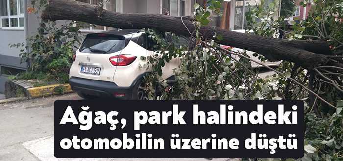 Kocaeli’de aniden etkisini gösteren fırtınadan dolayı devrilen ağaç, park halindeki
