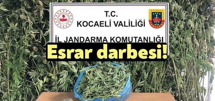 Kocaeli'de düzenlenen uyuşturucu operasyonunda 4 kilo 825 gram esrar ve
