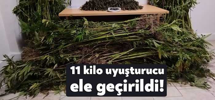 Kocaeli’de jandarma ekiplerince yapılan operasyonda 11 kilo esrar ve bin