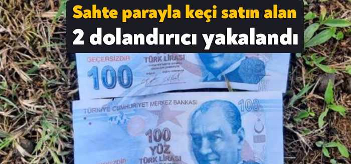 İzmit'te hayvancılık yapan kişiden sahte parayla 7 keçi satın alarak