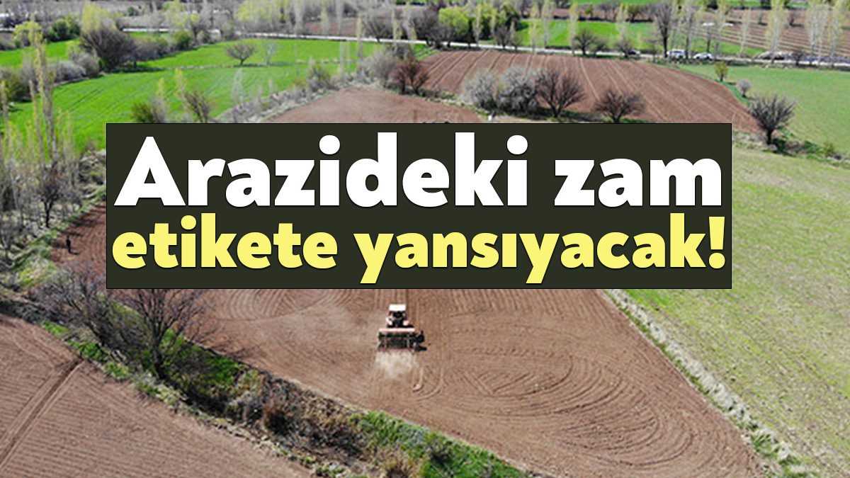 Yüksek enflasyon ile birlikte konut dışında tarım arazilerinde de kiralar