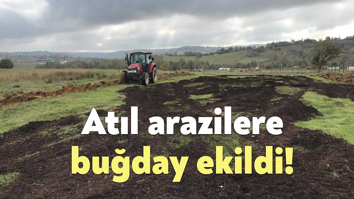 Körfez Belediyesi, atıl durumdaki köyler bölgesindeki 16 dönüm araziye ‘sertifikalı