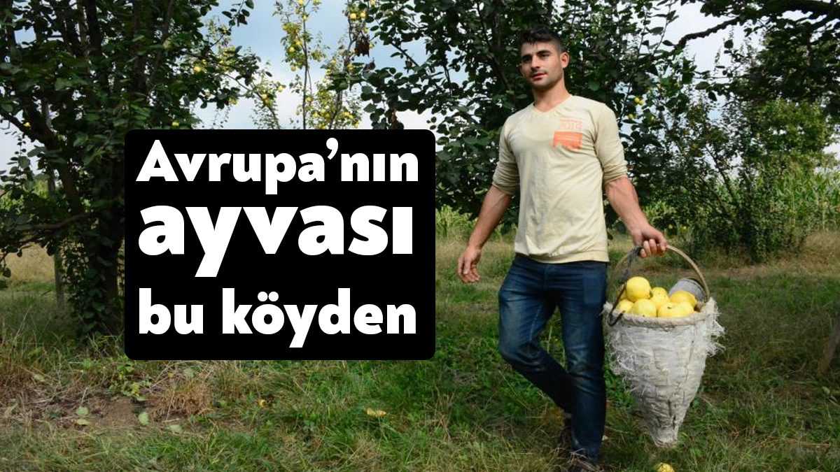 Kocaeli’nin Kartepe ilçesi sınırlarında bulunan ve dünyaya açılan Eşme ayvası,
