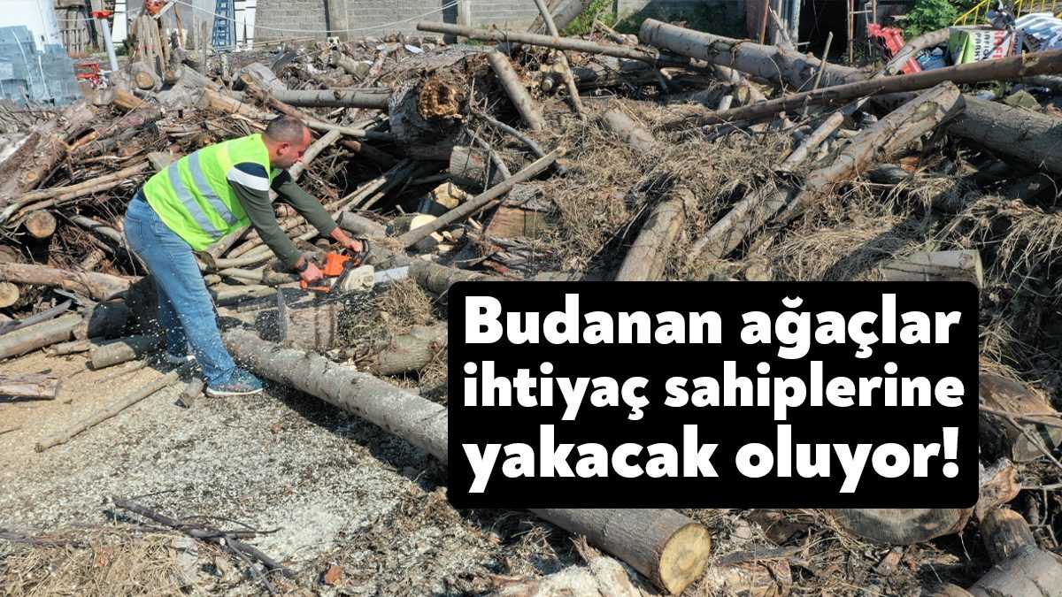 Başiskele Belediyesi, kuruyan ve budanan ağaç dallarını ihtiyaç sahiplerine yakacak