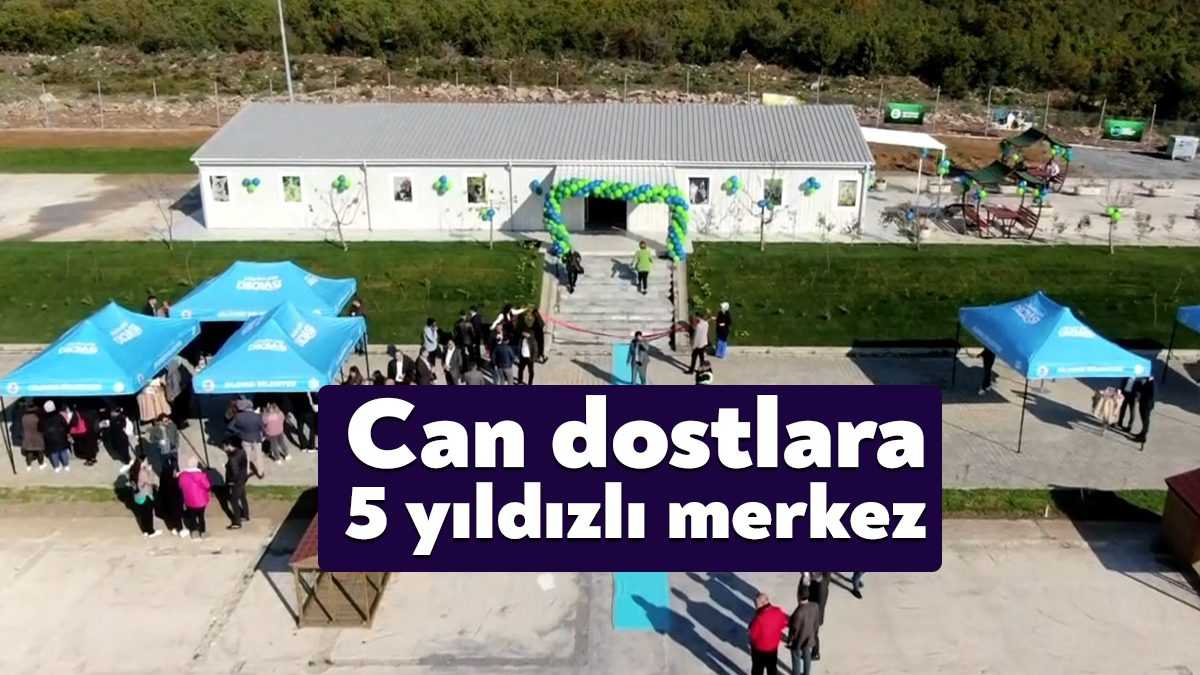 Kocaeli'nin Dilovası ilçesinde hasta ve yaralı sokak hayvanlarının tedavisinin yapılacağı
