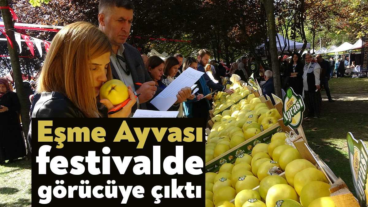 Kocaeli'nin Kartepe ilçesinde gerçekleştirilen "Eşme Ayvası Festivali'nde" mankenler değil, ayvalar