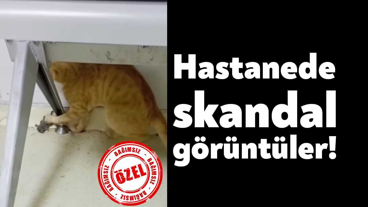 Kocaeli'nin en köklü hastanelerinden biri olan Seka Devlet Hastanesi'nde skandal