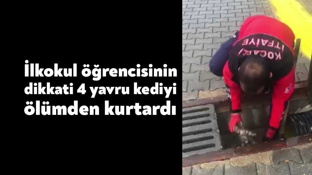 Kocaeli'nin Kartepe ilçesinde yağmur suyu tahliye kanalında mahsur kalan 4