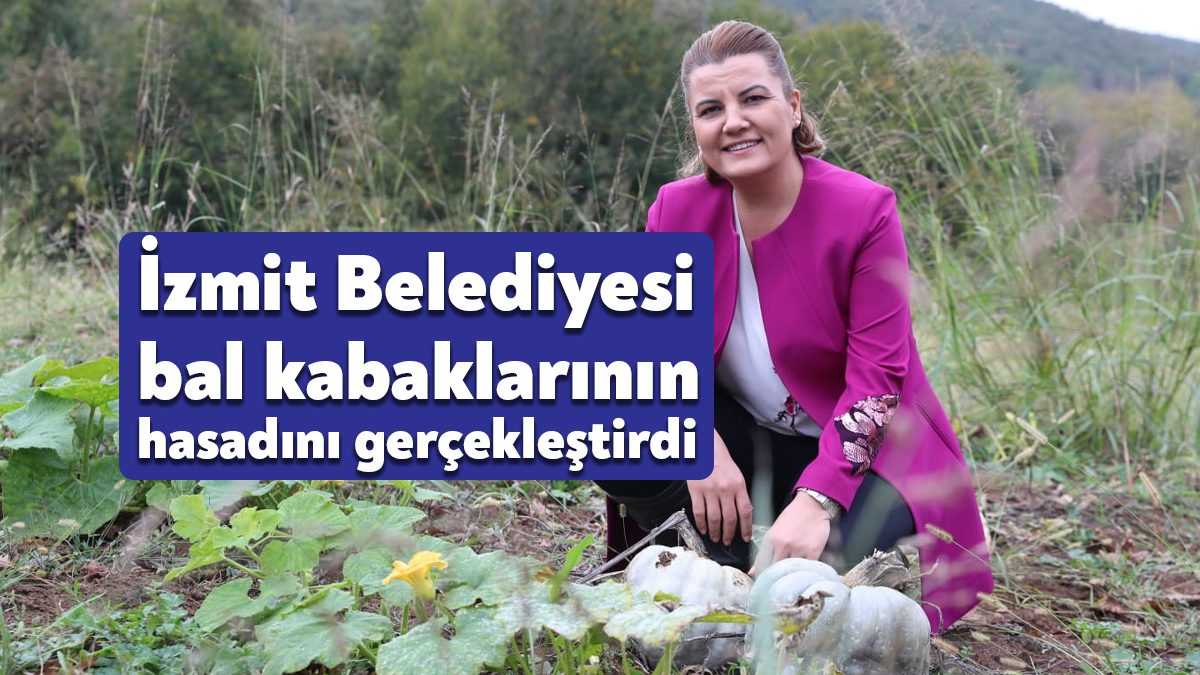 İzmit Belediyesi Kırsal Hizmetler Müdürlüğünün Bal Kabağı Yetiştiriciliği Projesi kapsamında