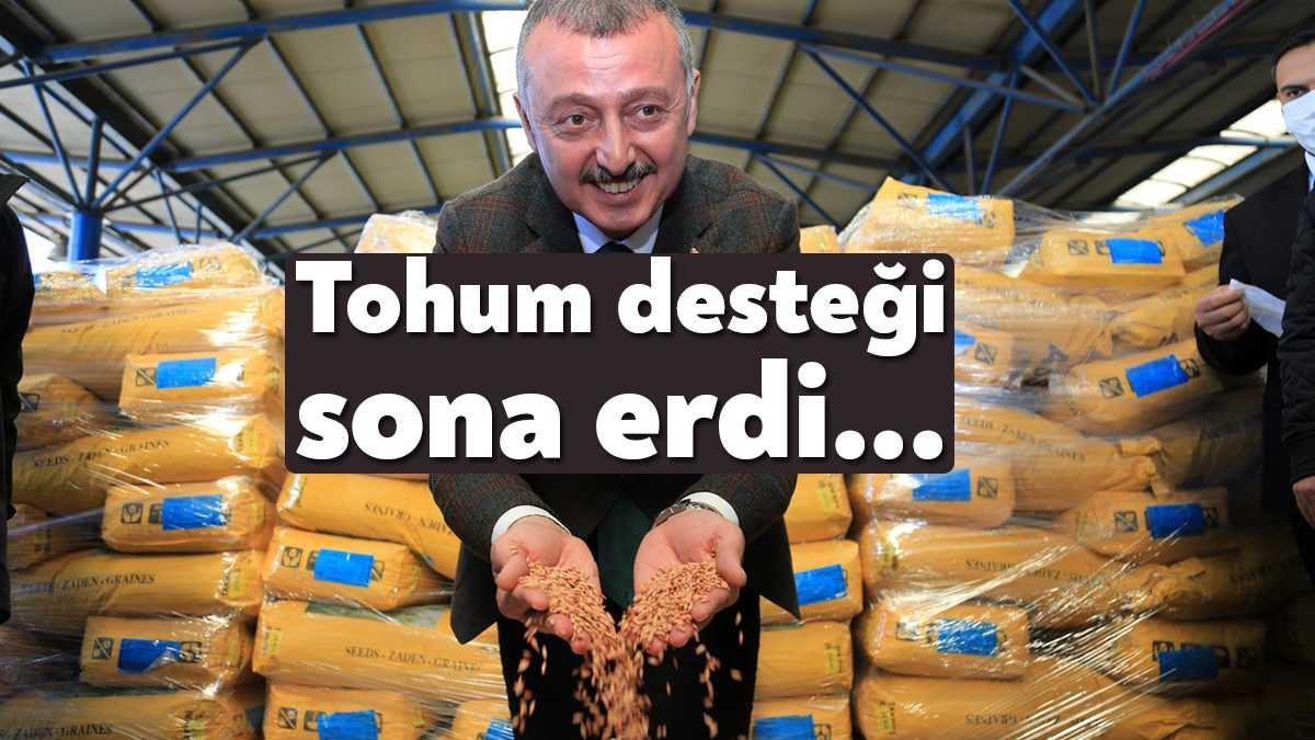 Kocaeli Büyükşehir Belediyesinin yüzde 75 hibeli yem bitkisi tohumu desteği