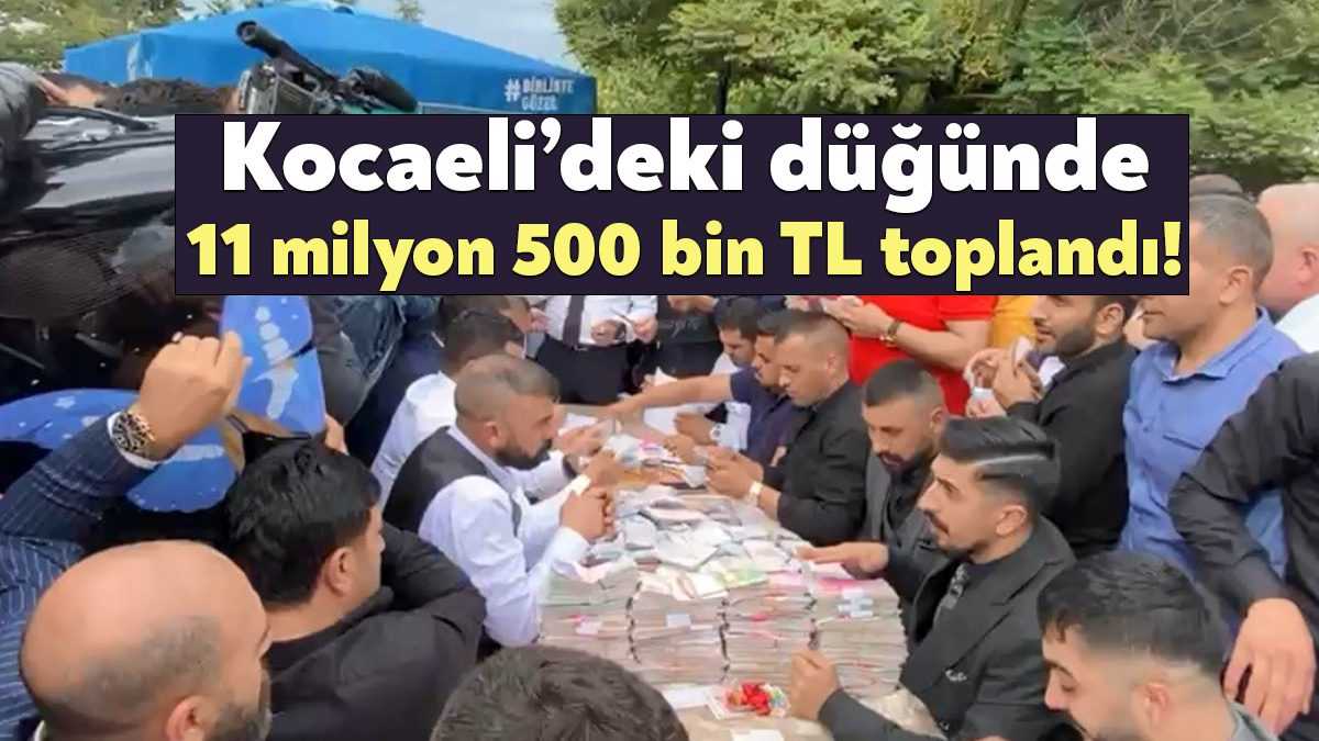 Kocaeli'de düzenlenen Cemaldin ve Celali aşiretlerinin düğününde 11 milyon 500
