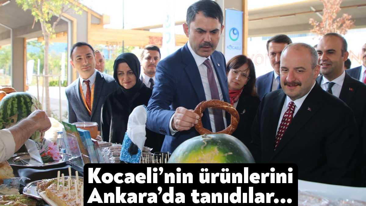 Ankara Başkent Millet Bahçesi’ndeki Tam Bana Göre Festival’de Kocaeli rüzgârı