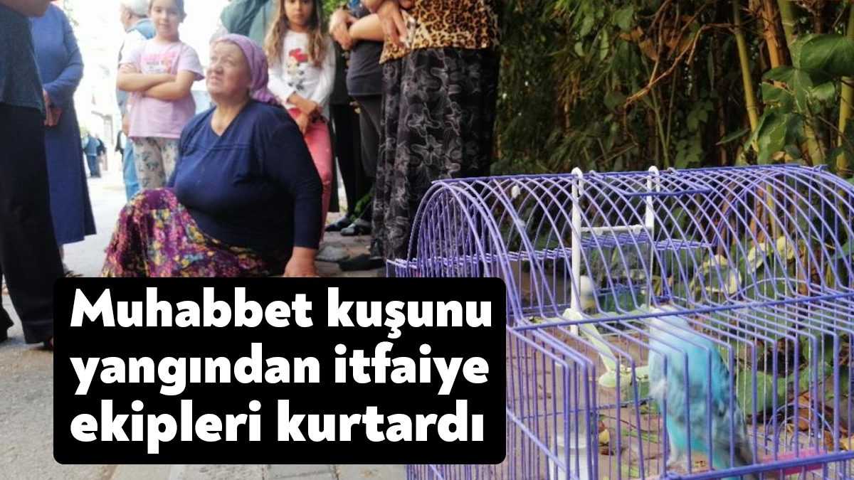 Kocaeli’nin Derince ilçesinde bir evin mutfağında çıkan yangın itfaiye ekipleri