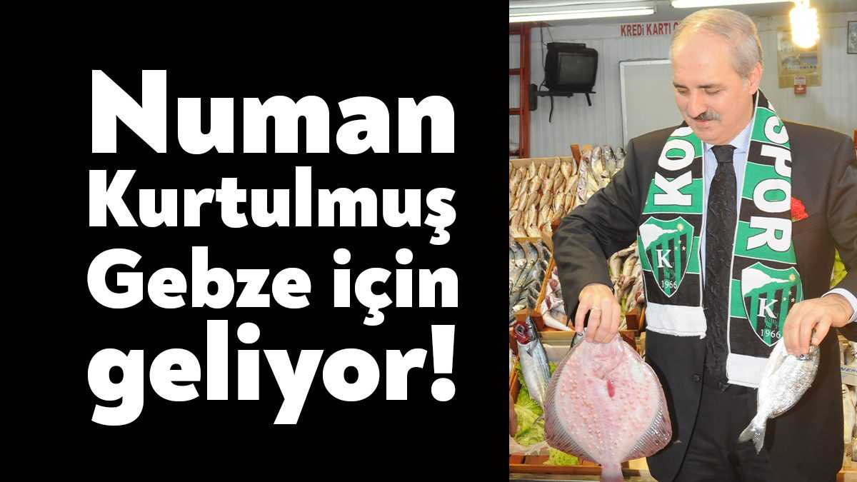 Ak Parti Gebze Danışma Meclisi toplantısı bugün gerçekleştirilecek. Toplantıya Genel