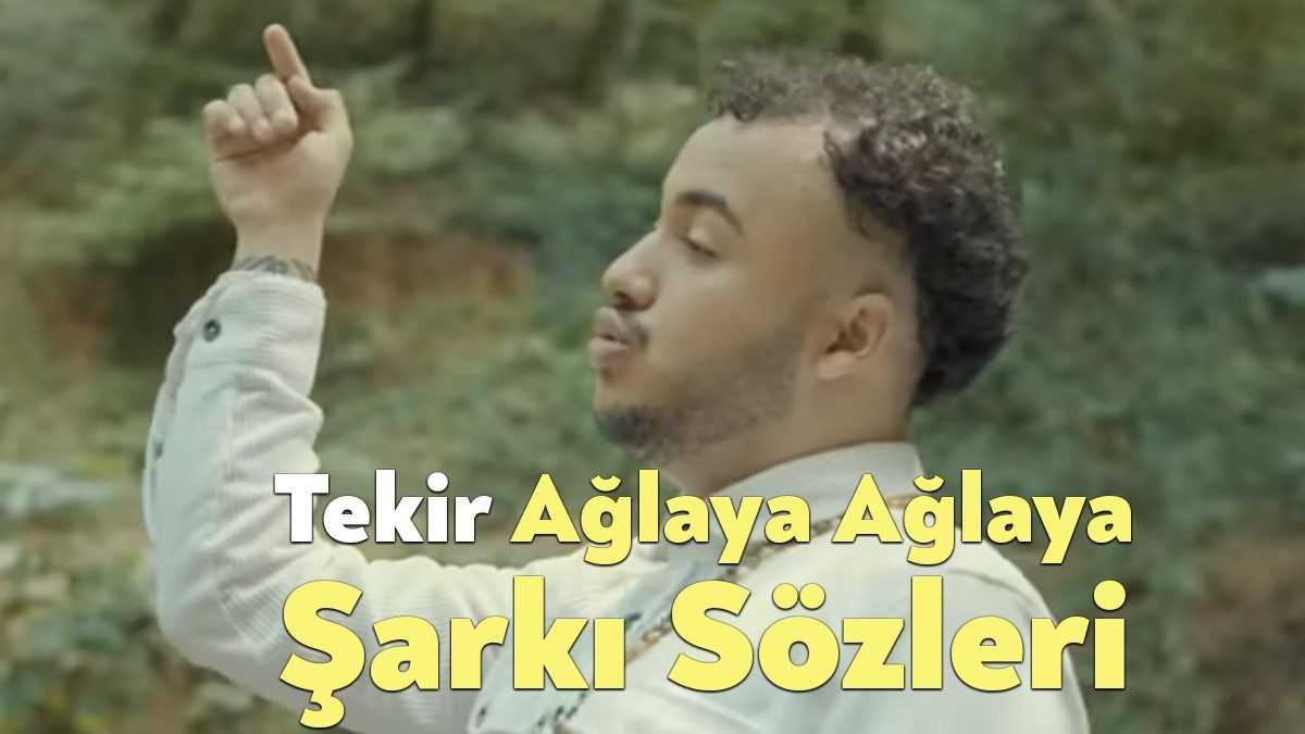 Tekir Ağlaya Ağlaya Şarkı Sözleri dinleyiciler tarafından merak ediliyor. Tekir