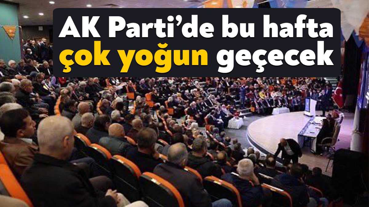 AK Parti Kocaeli İl Başkanlığı’nın ilçe danışma meclislerinde 3.hafta çok
