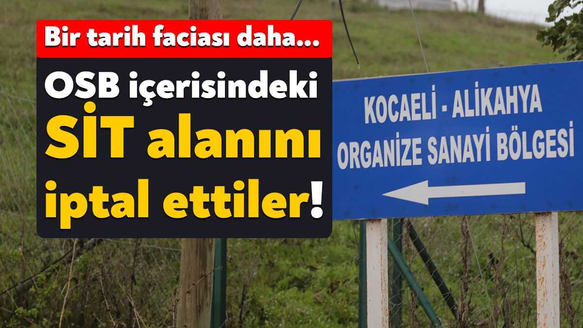 İzmit Alikahya OSB içerisinde bulunan, 1999 yılında üçüncü derece arkeolojik
