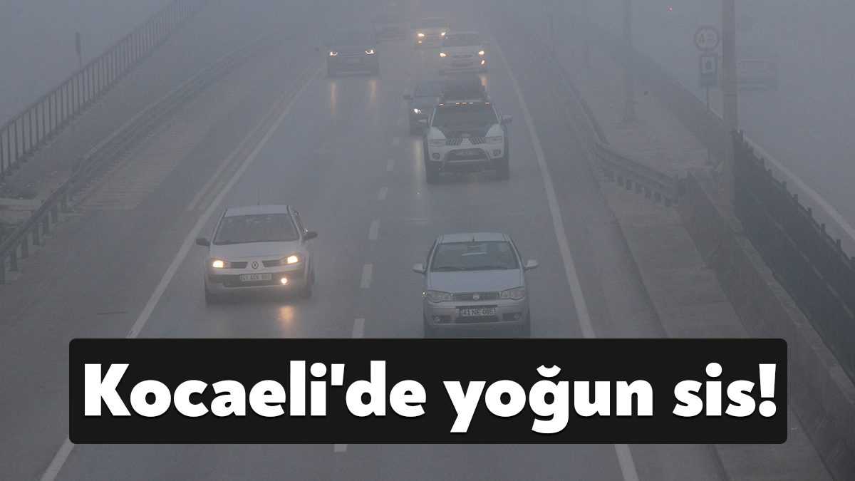 Kocaeli'de sabahın erken saatlerinden itibaren etkili olan yoğun sis sebebiyle